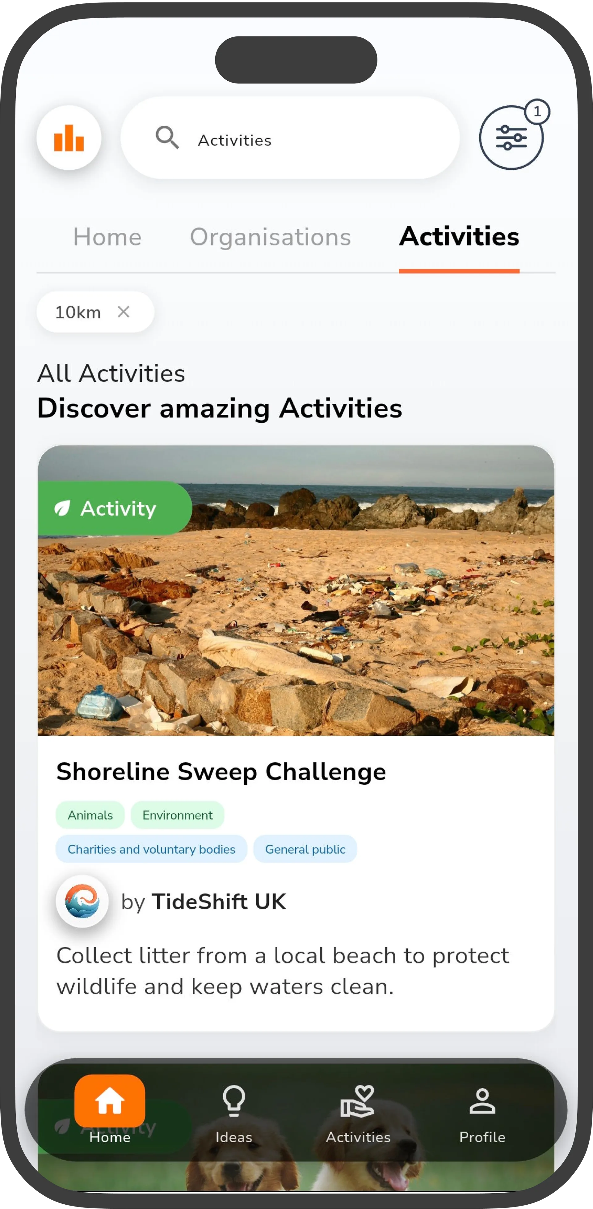 Impactful app explore screen showing curated volunteering activities with categories for environment, community, education, and animal welfare
